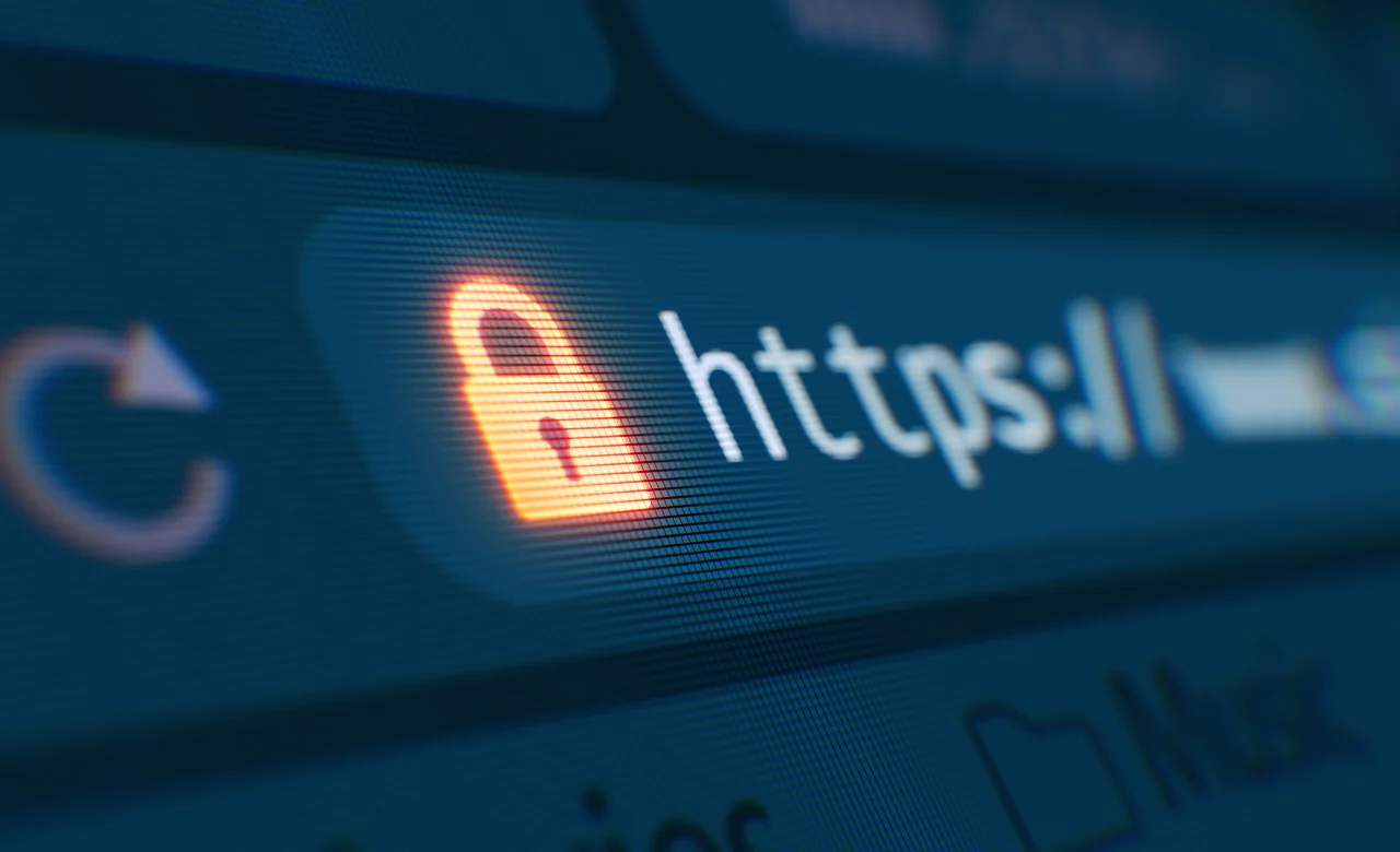 SSL ve web sitenizin güvenliği