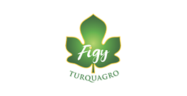 Figy