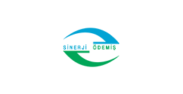 Sinerji Ödemiş
