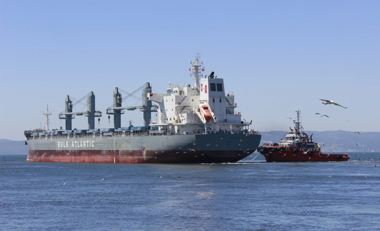 Bulk Atlantic